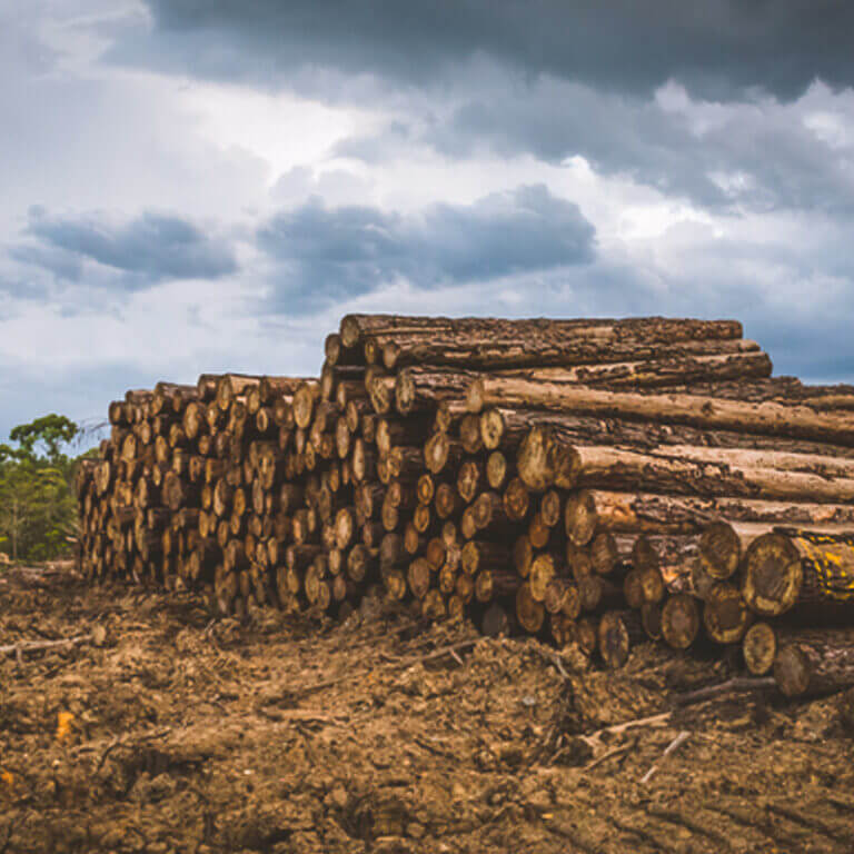 Lumberock Composite Lumber vs the Competition